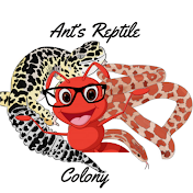 Ant's Reptile Colony