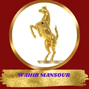 WAHIB MANSOUR