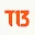 T13