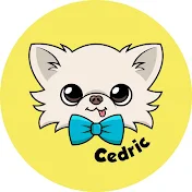 Tiny Chihuahua Cedric