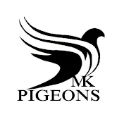 MK PIGEONS  & BIRDS