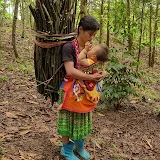 Hà Yến peaceful life.