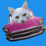 LittleCatchannel