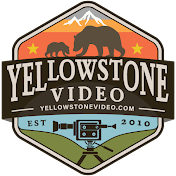 Yellowstone Video