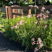 A Garden for Birds