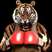 BEAST BOXING TIGER 🥊