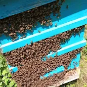 Пчеларска ферма Димитрови