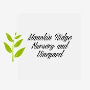 Manokin Ridge Nursery and Vineyard