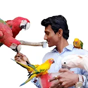 PARROT DIPANKAR