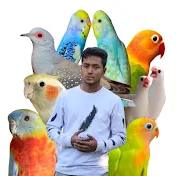 Birds King Himu