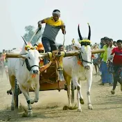 Vishwaguru Bull Race