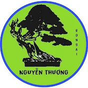 Bonsai Nguyễn Thương