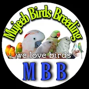 Mujeeb Birds Breeding