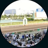 競馬　3着以内に入る馬