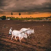 Indian Farmer (ગુજરાત)