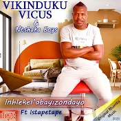 VIKINDUKU VICUS OFFICIAL.