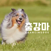 춤강마 ; 춤추는강아지마테