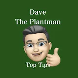 Dave the Plantman