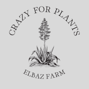 ELBAZ FARM VIDEO