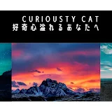 Curiosity Cat「好奇心溢れるあなたへ」