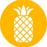 Pineapple Consulting Firm