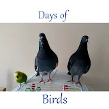 Days of Birds