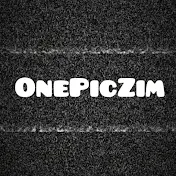 OnePicZim