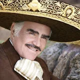 vicentefernandez®