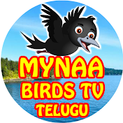 Mynaa Birds TV - Telugu