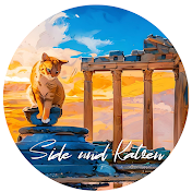 Side und Katzen