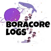 boracore logs