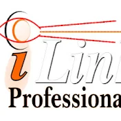 iLink Professionals, Inc.