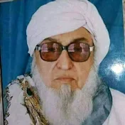 Molana bijliger