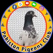 Pakistan Pigeons Club