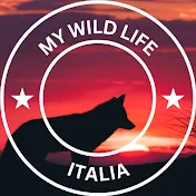 My Wild Life - Italia