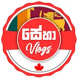 Seha Vlogs