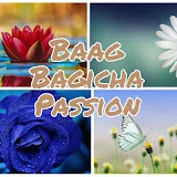 Baag Bagicha Passion And Creation