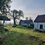 The Irish Homestead