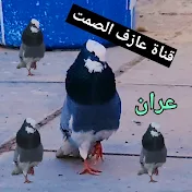 عازف الصمت