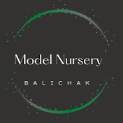 model nursery balichak