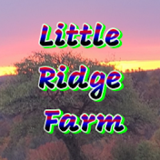 Little Ridge Farm
