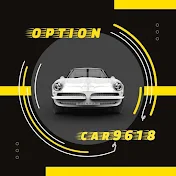 Option_car9618