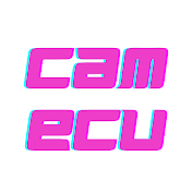 Cam ECU