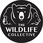 The Wildlife Collective