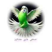 صحفى غاوي عصافير