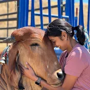 Befriend Cows