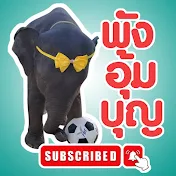 พังอุ้มบุญ Aumboonelephant