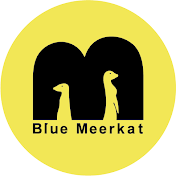 藍狐獴 BlueMeerkat