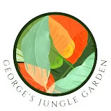 George’s Jungle Garden