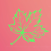 Maple Leaf Translations
